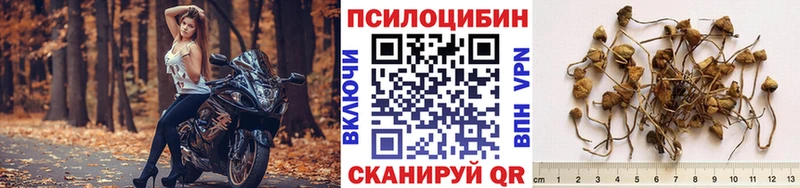 Галлюциногенные грибы MAGIC MUSHROOMS  что такое   Верхоянск 
